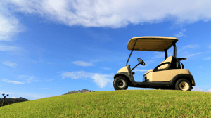 electric golf cart