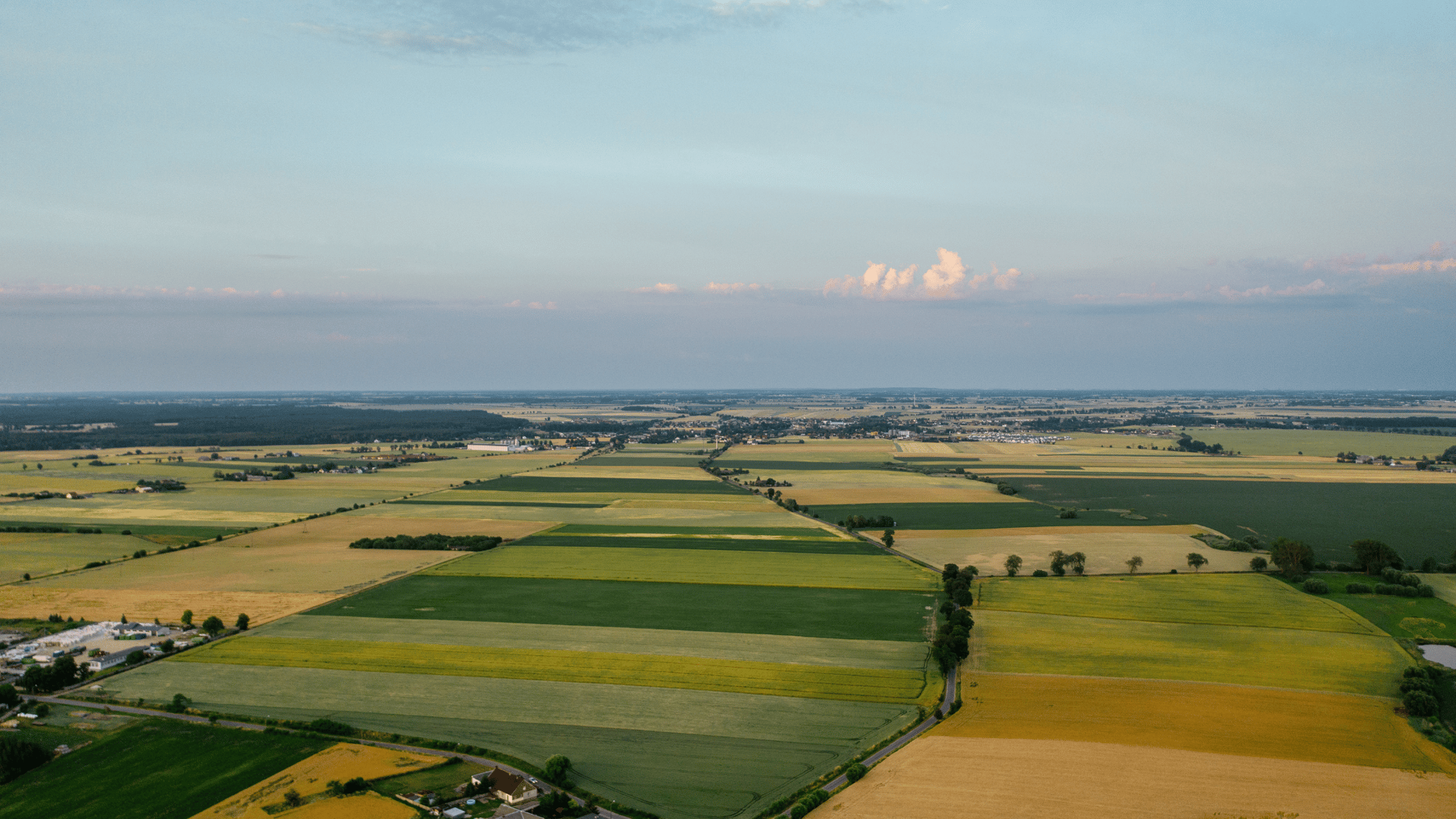 aerial view of farm fields